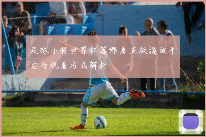 足球小将世界杯篇哪看正版播放平台与观看方式解析