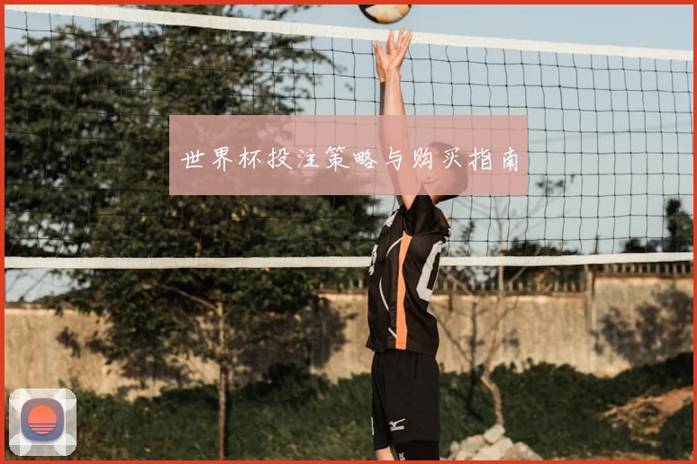 世界杯投注策略与购买指南