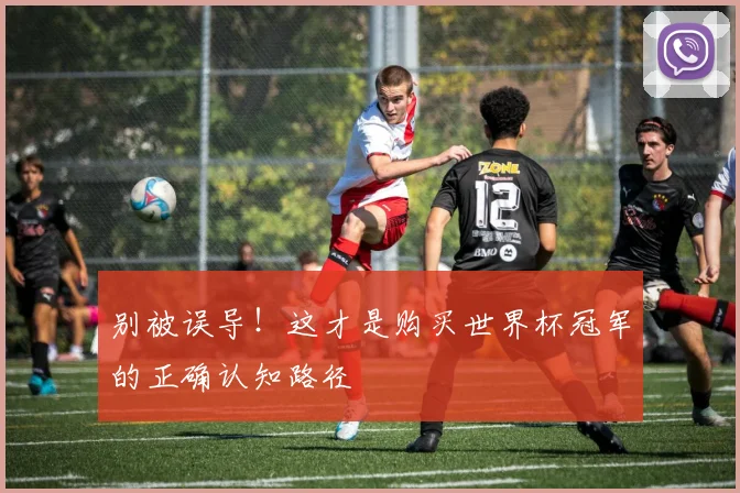 别被误导！这才是购买世界杯冠军的正确认知路径