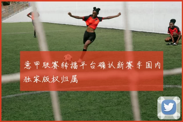 意甲联赛转播平台确认新赛季国内独家版权归属