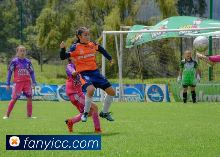 熊猫体育(中国版权)官方网站 - 最全赛事直播平台服务体系